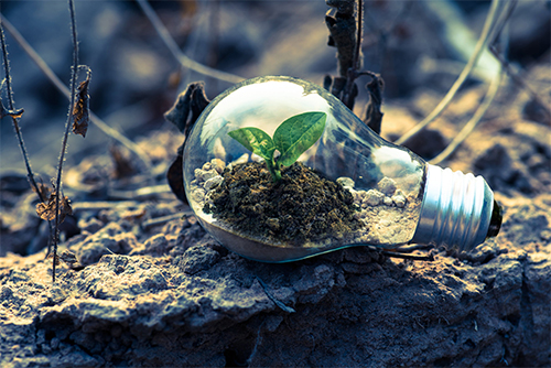 lamp waar plant in groeit